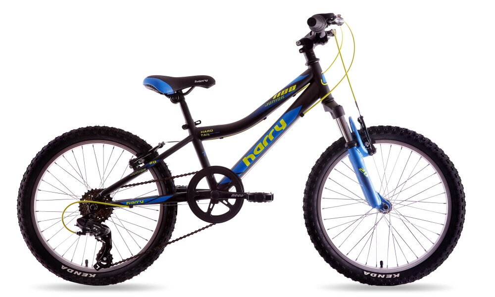 Bicykel Harry Junior 20 čierno zeleno modrý